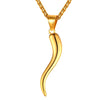 Cornicello Italian Horn Stainless Steel Amulet Pendant Chain Necklace
