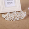 Floral Blossom Design with Pearls Tiara Crown